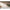 eko5288j-%e6%8b%b7%e8%b4%9dlow-res
